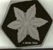 Wm. A. Bentley snowflake