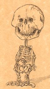charlie b. skeleton