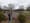 Photograph of people walking a labyrinth laid out in brick and gravel in a field, among bare trees, under an overcast sky.