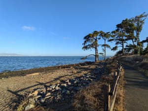 Photo of a beachside path, with sand, water, trees, and blue sky