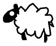 one sheep