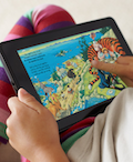 small picture of the Amazon Kindle Fire