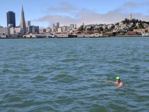A swimmer in the water with the San Francisco skyline, Transamerica Pyramid on the left and Coit Tower on the right.